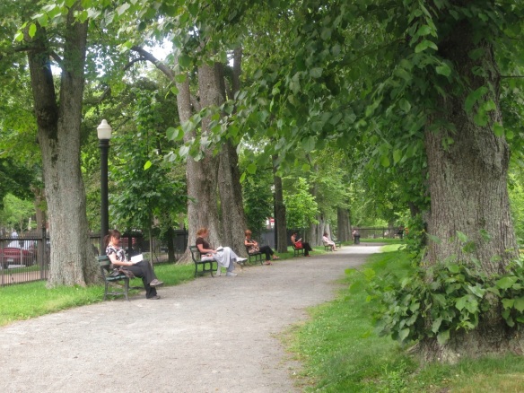Lunchtime at the Halifax Public Gardens