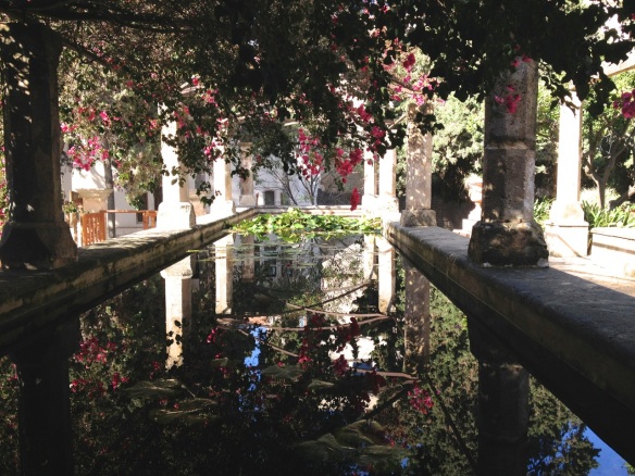 The common Bougainvillea makes a big statement in the Jardin de Bisbe in Palma de Mallorca.